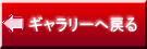 ギャラリーへ戻る 